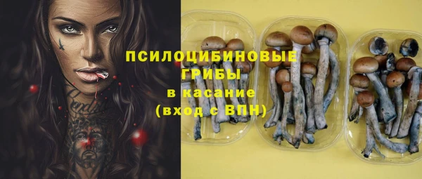 эйфоретик Баксан