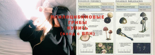 стафф Балахна