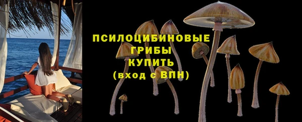 стафф Балахна