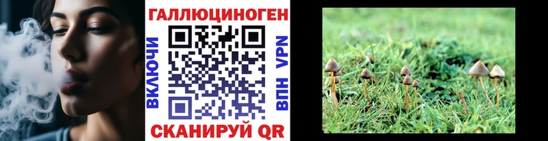 Псилоцибиновые грибы Cubensis Верхнеуральск
